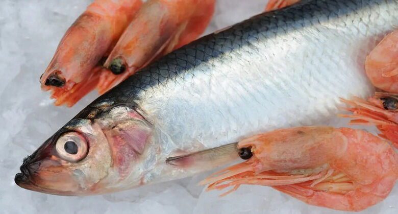 seafood-contaminated:-180-of-182-samples-contain-microplastics—what-it-means-for-you