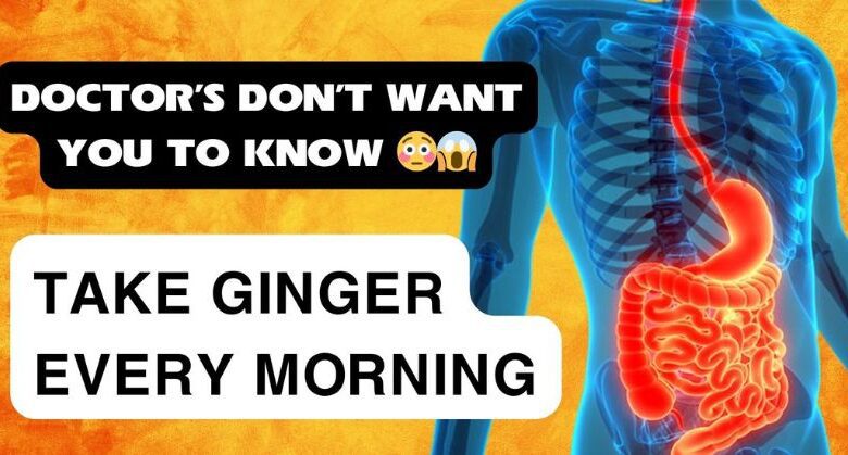 the-health-benefits-of-ginger:-a-powerful-secret-revealed